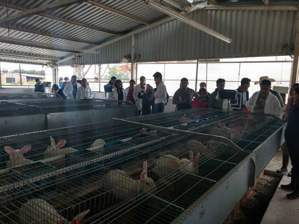 Laboratorio de Producción Animal